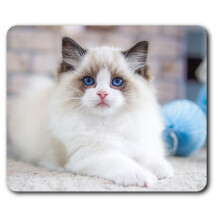Cute White Fluffy Kitten Cat Mouse Mat Pad Computer PC Laptop Gaming Office Home Desk Accessory Gadget 3402