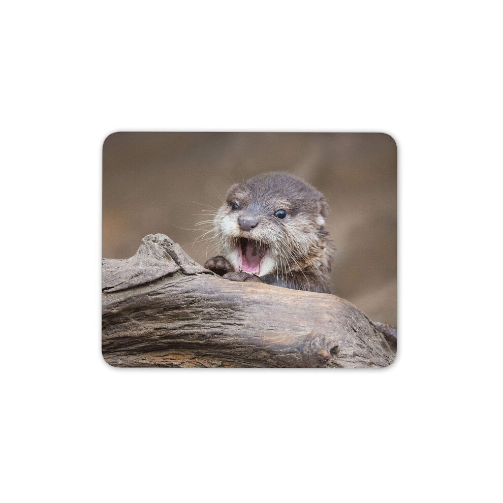 Destination Vinyl Ltd Baby Otter Mouse Mat Pad - Wild Animal Nature Cute Funny Computer #16433 7625938067388