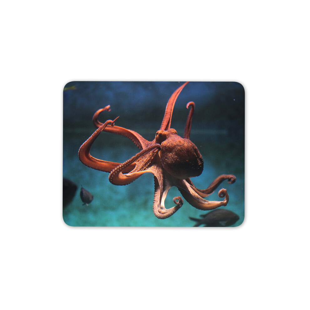 Awesome Octopus Mouse Mat Pad - Sea Life Scuba Diving Fun Gift Pc Computer #8329 7625906567056