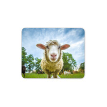 Destination Vinyl Ltd Funny Sheep Mouse Mat Pad - Lamb Farm Farmer Cattle PC Computer #8389