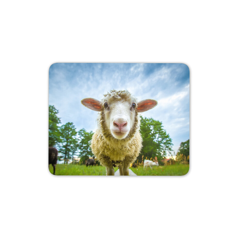 Destination Vinyl Ltd Funny Sheep Mouse Mat Pad - Lamb Farm Farmer Cattle Pc Computer #8389 7625913045103