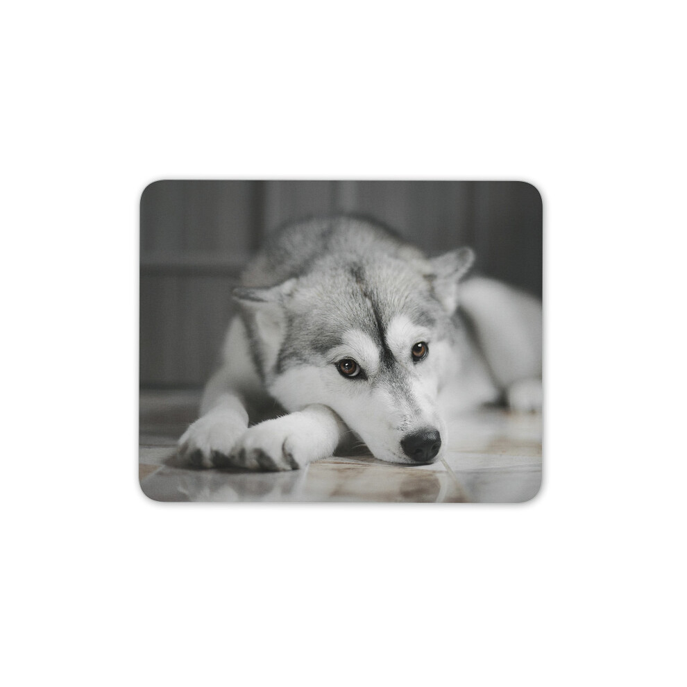 Beautiful Husky Mouse Mat Pad - Dog Animal Mum Sister Fun Gift Computer #8636 7625910017325