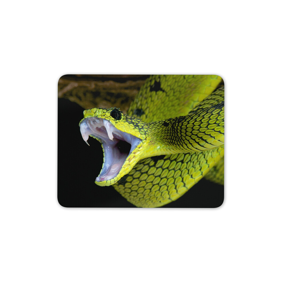 Destination Vinyl Ltd Cool Lime Snake Mouse Mat Pad - Snakes Reptile Fangs Gift Computer #8899 Green 7625900633894
