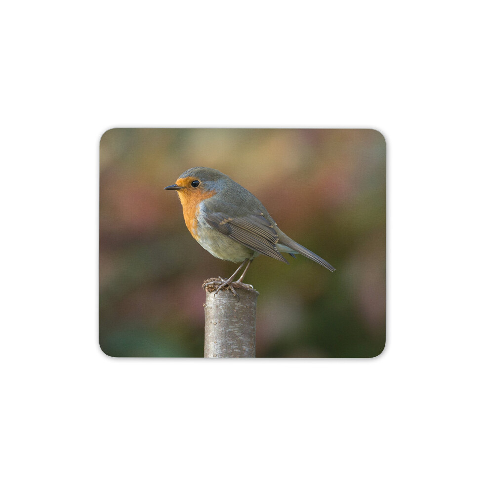 Destination Vinyl Ltd Pretty Robin Mouse Mat Pad - Garden Bird Birds Gardening Computer #13116 7625906196256