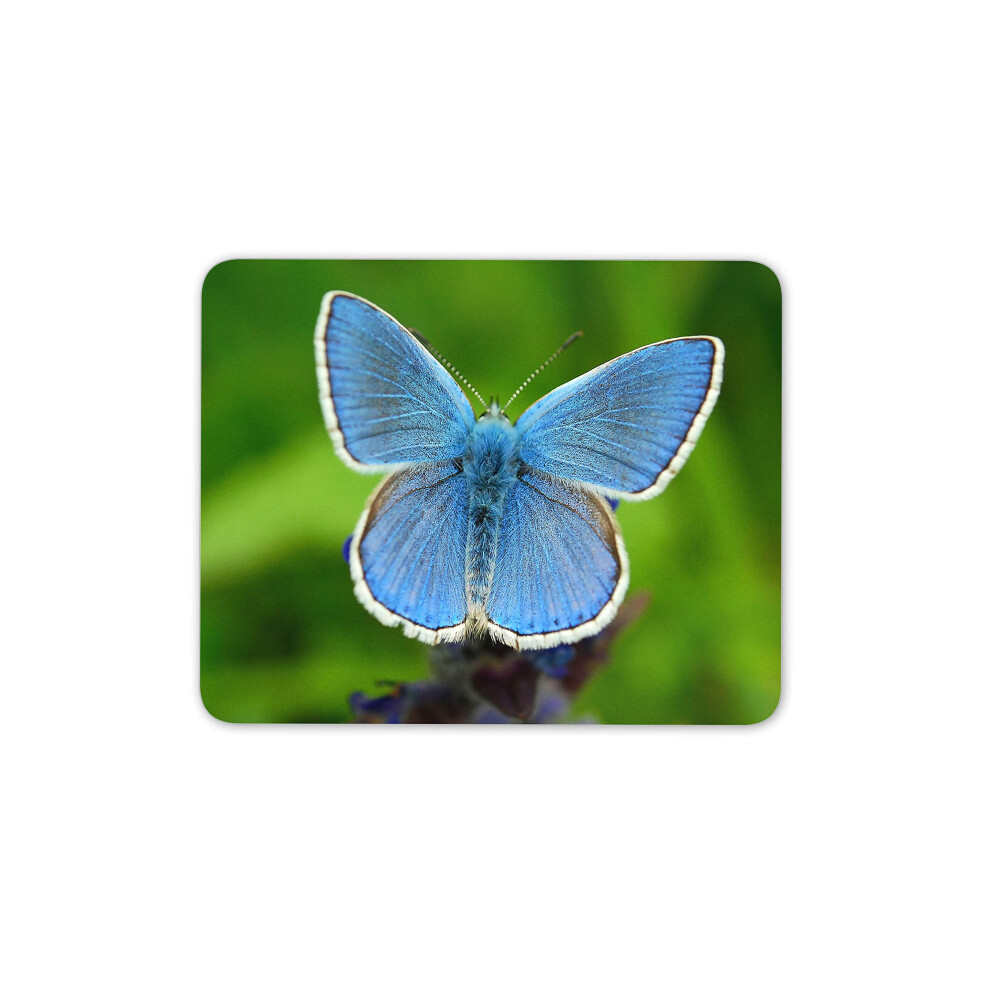 Pretty Butterfly Mouse Mat Pad - Mum Garden Auntie Nan Computer #14149 Blue 7625905668495
