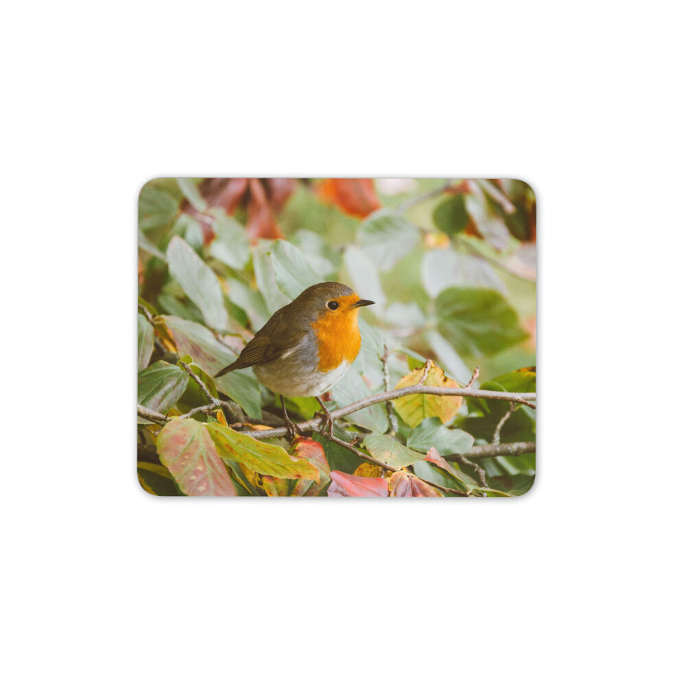 Little Robin Sitting On A Tree Mouse Mat Pad - Bird Animal Computer #14318 7625901340364