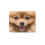 Cute Pomeranian Dog Mouse Mat Pad - Animal Computer #14256 1