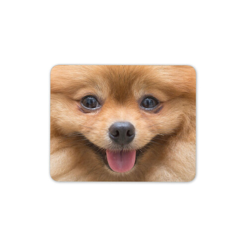 Cute Pomeranian Dog Mouse Mat Pad - Animal Computer #14256