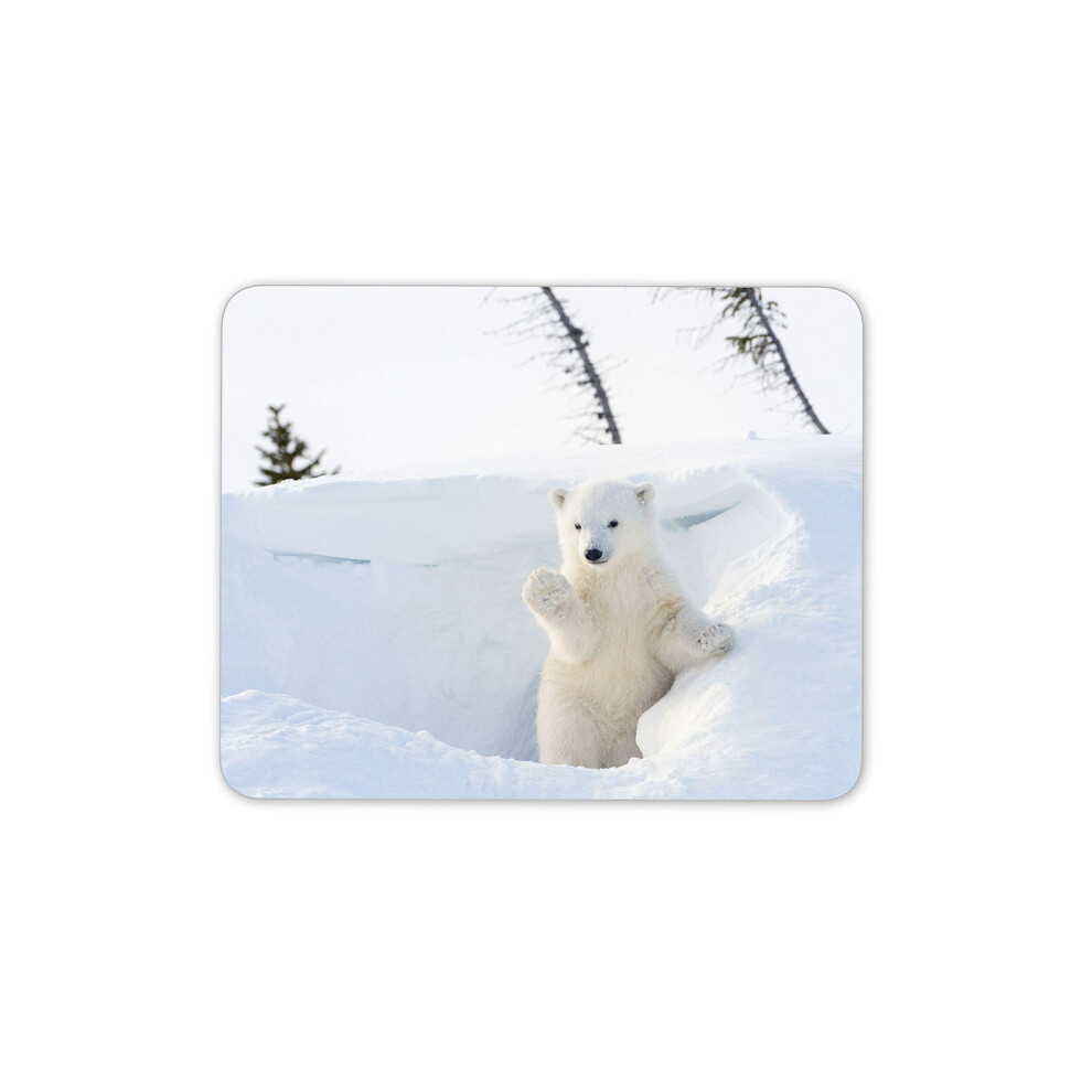 Destination Vinyl Ltd Polar Bear Cub Mouse Mat Pad - Cute Wild Animal Arctic Snow Computer #16448 7625936363413