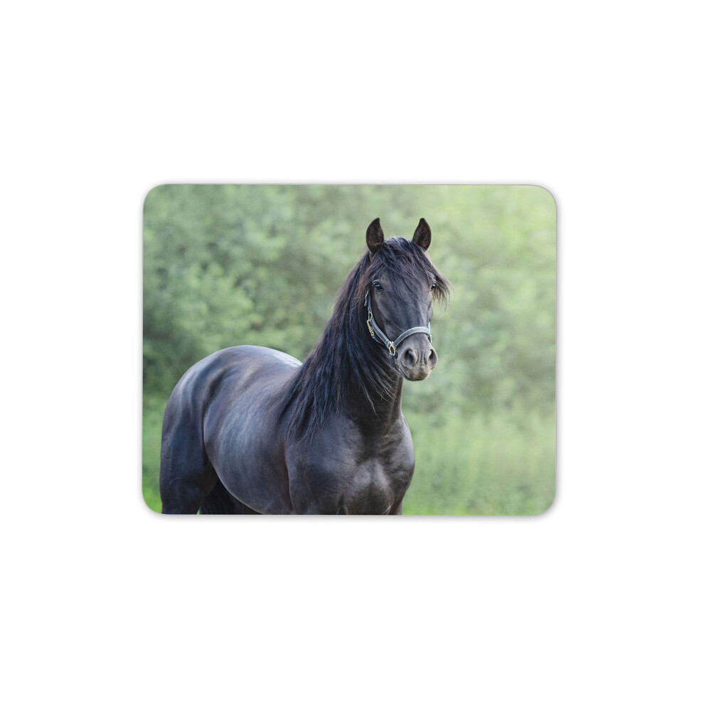 Destination Vinyl Ltd Andalusian Horse Mouse Mat Pad - Stallion Spanish Fun Computer #12494 Black 7625937993633