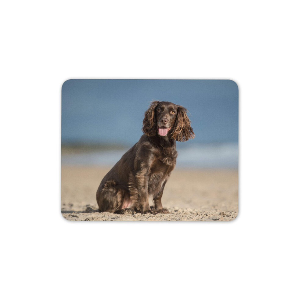 Destination Vinyl Ltd Cocker Spaniel Mouse Mat Pad - Puppy Gun Dog Beach Working Computer #12508 7625938658265