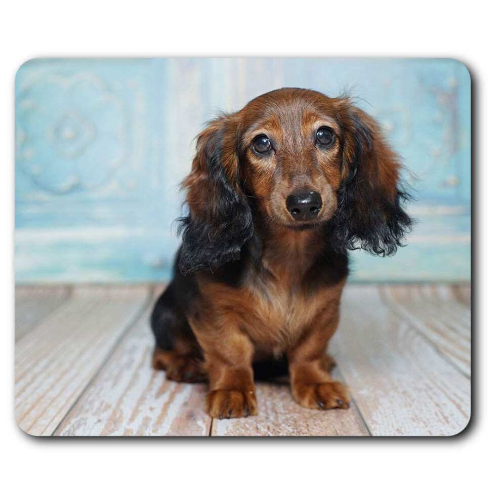 Long Haired Dachshund Dog Mouse Mat Pad Computer Pc Laptop Gaming Office Home Desk Accessory Gadget 16325 Brown 7625998755416