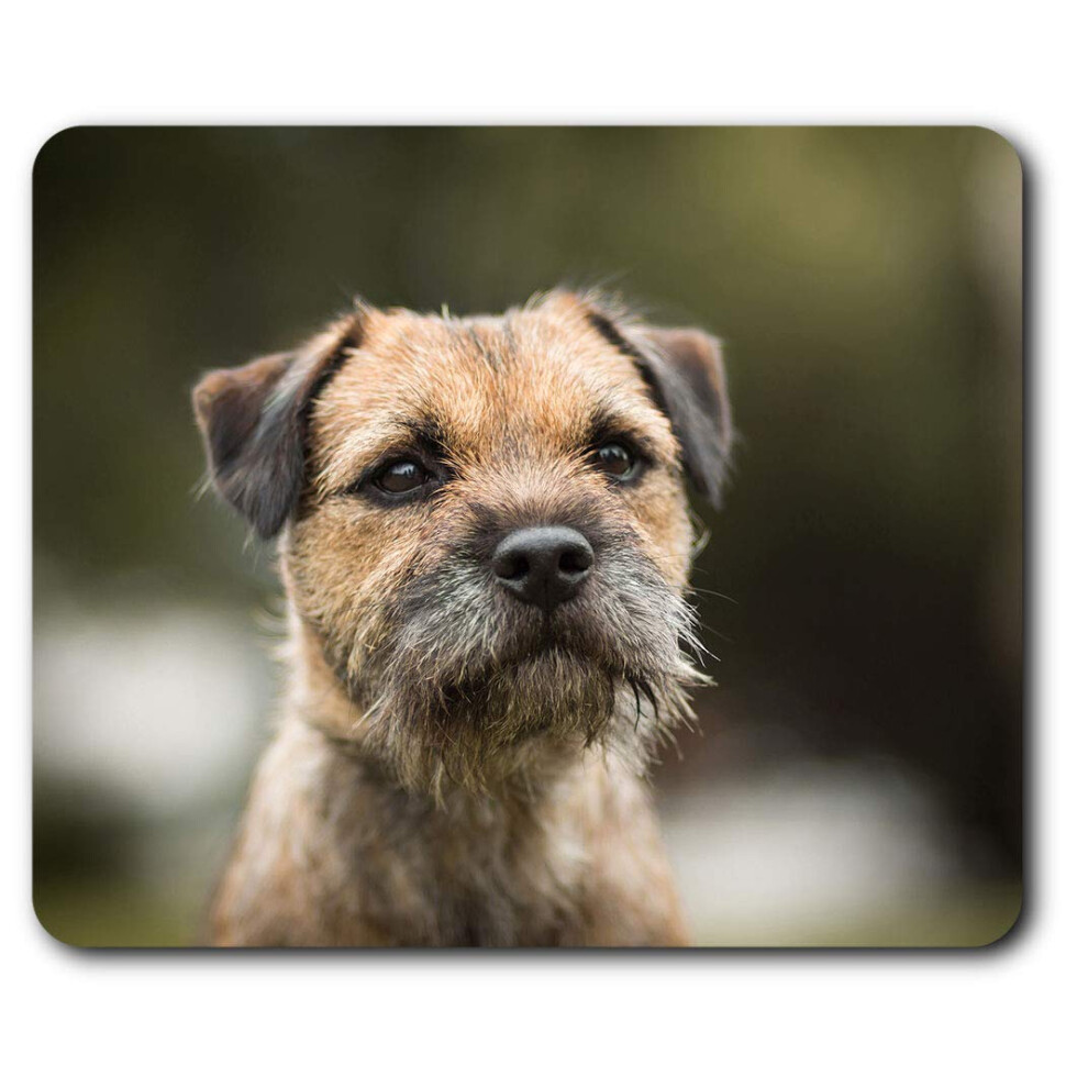 Border Terrier Dog Puppy Mouse Mat Pad Computer Pc Laptop Gaming Office Home Desk Accessory Gadget 15940 Brown 7625998720513