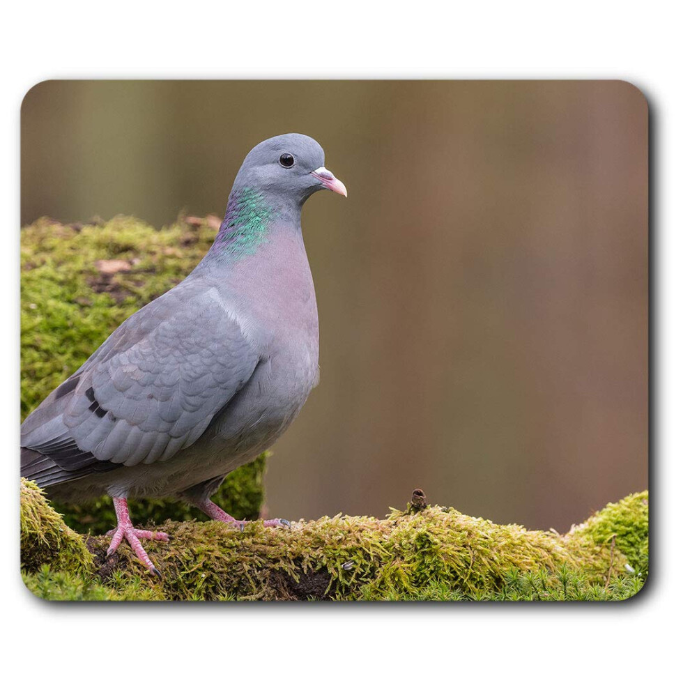 Stock Dove Pigeon Bird Racing Birds Mouse Mat Pad Computer Pc Laptop Gaming Office Home Desk Accessory Gadget 24261 7625999367878