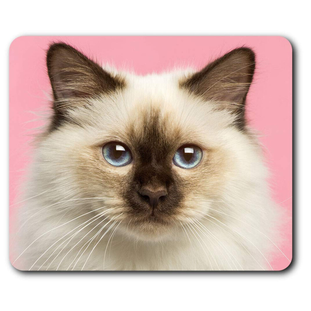 Birman Kitten Cat Ragdoll Mouse Mat Pad Computer Pc Laptop Gaming Office Home Desk Accessory Gadget 2825 7625998902902