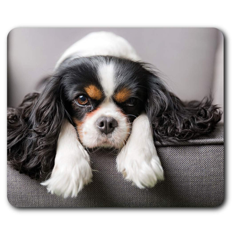 Cavalier King Charles Spaniel Dog Mouse Mat Pad Computer Pc Laptop Gaming Office Home Desk Accessory Gadget 12388 7625998555313