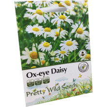 Ox-Eye Daisy Seed Packet Contains Leucanthemum Vulgare Wildflower Seeds