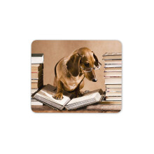 Destination Vinyl Ltd Dachshund Book Worm Mouse Mat Pad - Sausage Dog Puppy Funny Computer #15224