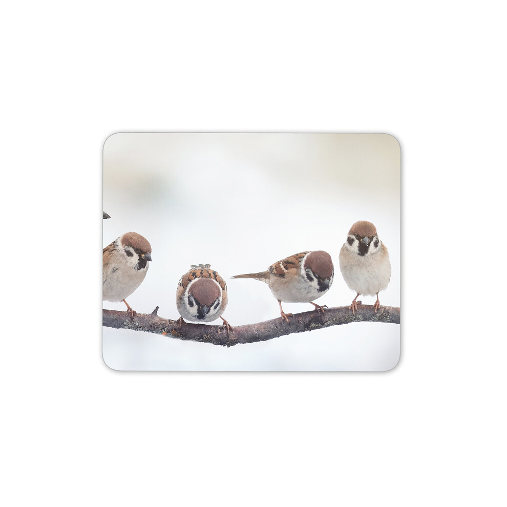 Destination Vinyl Ltd Little Birds Mouse Mat Pad Cute Sparrow Bird Gift Computer Pc Gift #8142 Brown 7625660101565