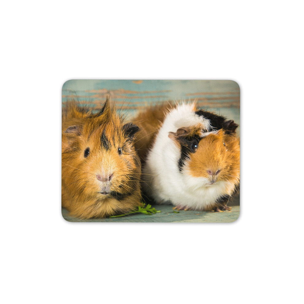 Funky Guinea Pigs Mouse Mat Pad - Pig Piglet Piggy Animal Gift Pc Computer #8477 7625884901385