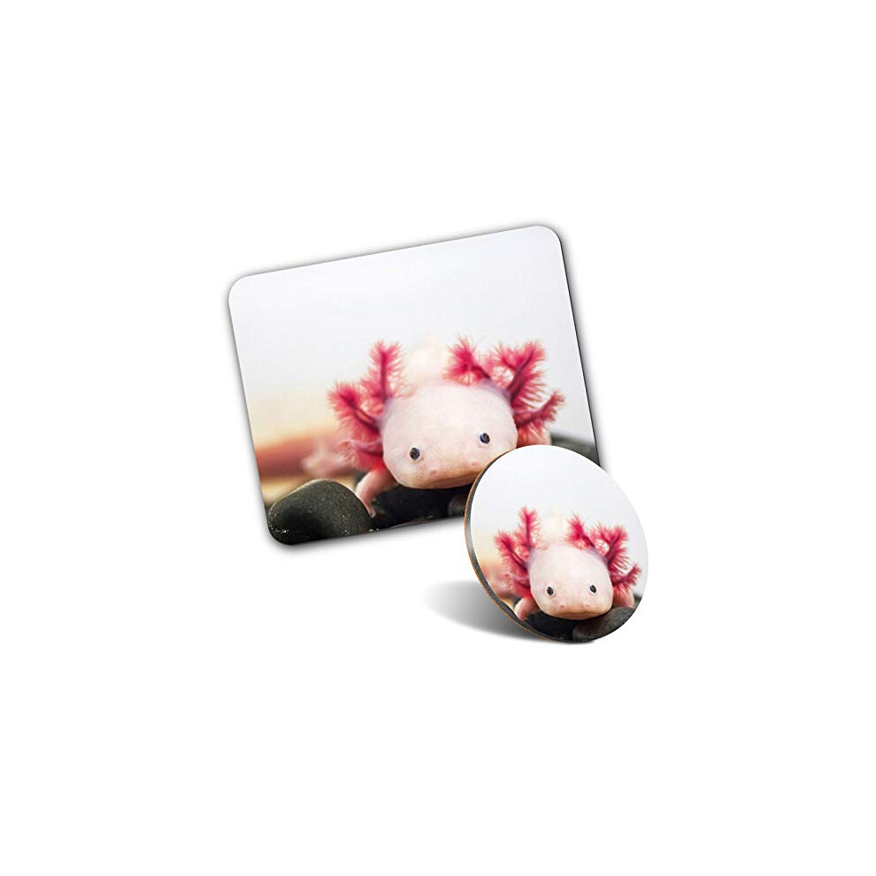 Rectangle Mouse Mat & Round Coaster Set - Axolotl Aquarium Dragon Fish 20 Cm & 9 Cm For Computer & Laptop, Office, Gift, Non-Slip Base #3066 7626024368839