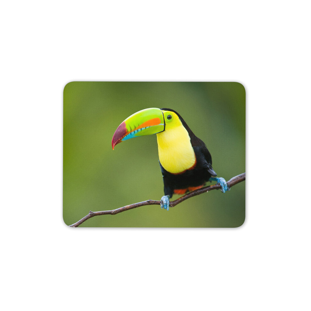 Destination Vinyl Ltd Colourful Toucan Bird Mouse Mat Pad - Tropical Birds Fun Gift Pc Computer #8744 7625883363375