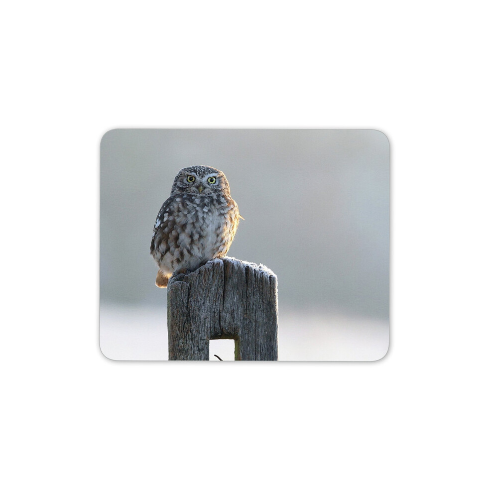 Destination Vinyl Ltd Beautiful Owl In Winter Mouse Mat Pad - Bird Birds Owls Mum Computer #8890 7625889611029