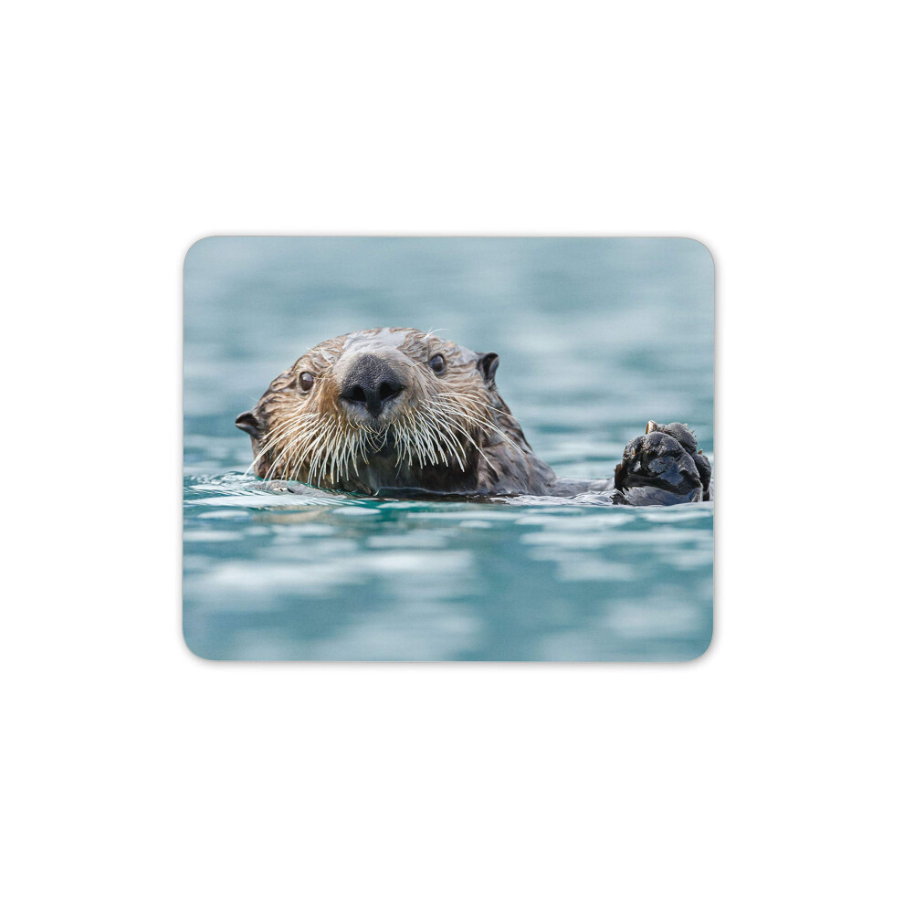 Cute Sea Otter Mouse Mat Pad - Otters Wildlife Sea Animal Gift Computer #14162 7625893529778
