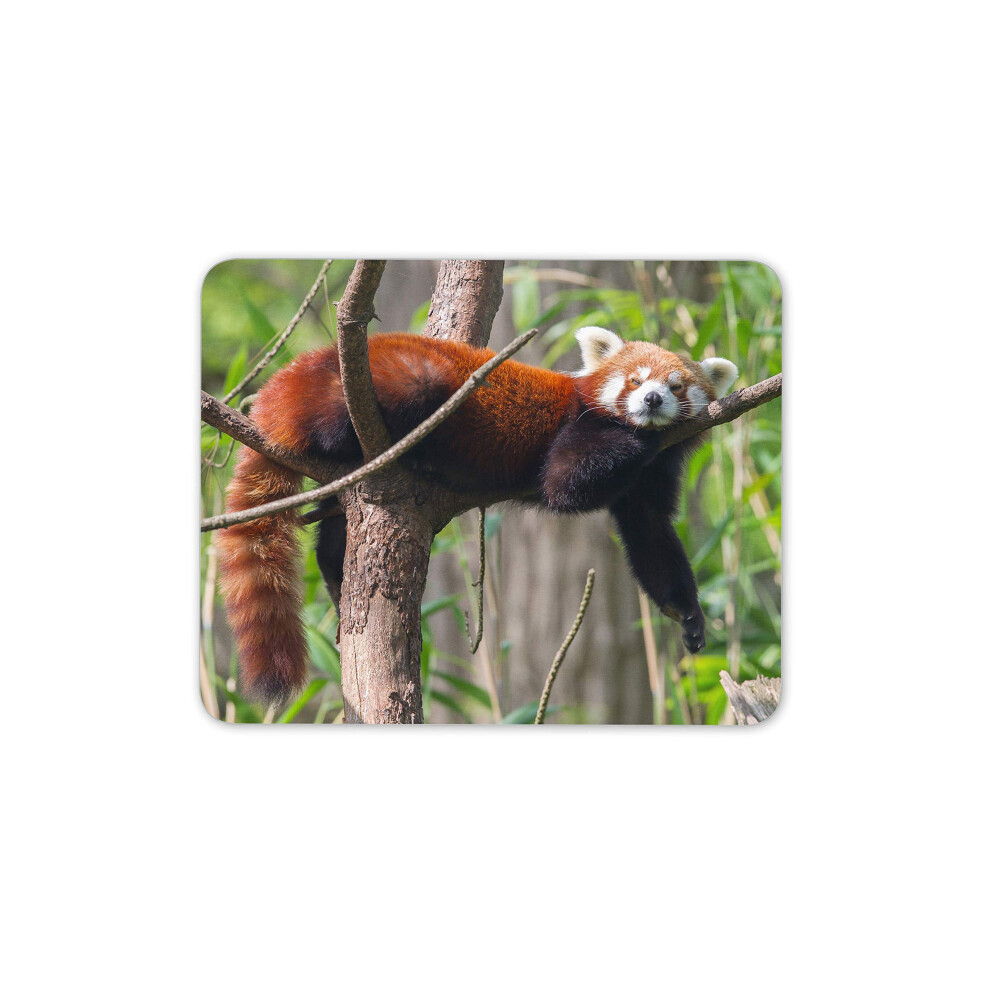 Cute Lesser Panda Mouse Mat Pad - Animal Tree Bear Kids Computer #14154 Red 7625892457485