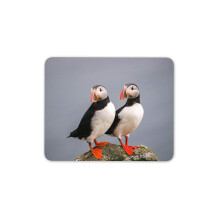 Destination Vinyl Ltd Puffin Bird Pair Mouse Mat Pad - Pelagic Sea Birds Computer #14150