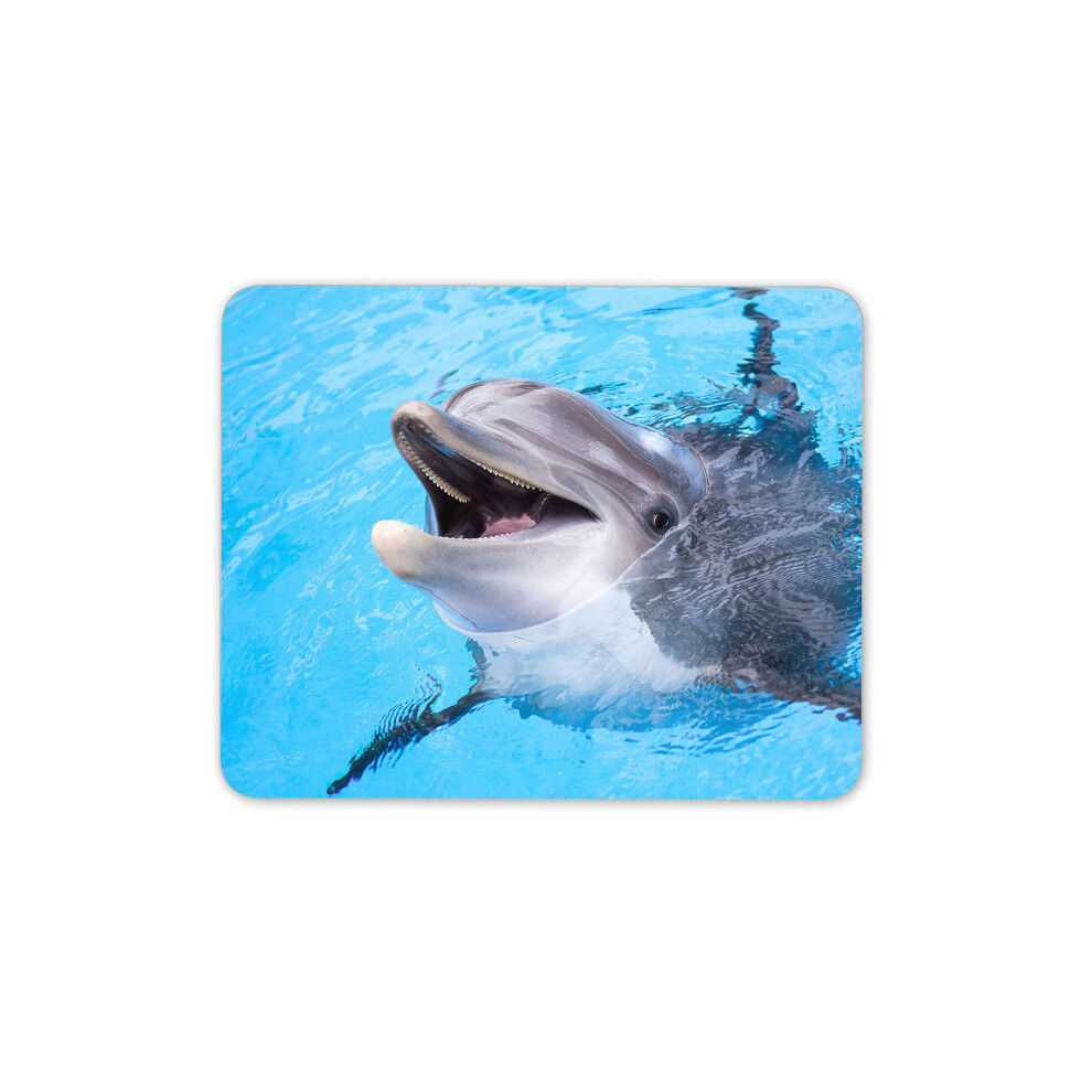 Destination Vinyl Ltd Happy Dolphin Sea Life Mouse Mat Pad - Smart Ocean Life Computer #14574 7625844235345