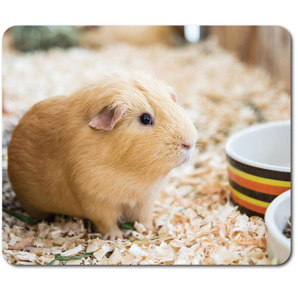 Rectangle Mouse Mat - Blonde Sandy Guinea Pig Pet 23.5 X 19.6 Cm (9.3 X 7.7 Inches) For Computer & Laptop, Office, Non-Slip Base #44344 7626027714671