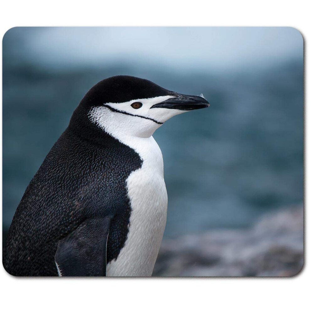 Rectangle Mouse Mat - Chinstrap Penguin Antarctica Bird Wildlife 23.5 X 19.6 Cm (9.3 X 7.7 Inches) For Computer & Laptop, Office, Non-Slip Base #44588 7626027721990