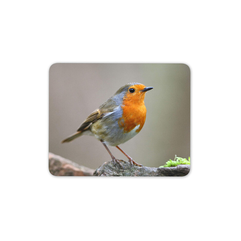 Destination Vinyl Ltd Cute Robin Mouse Mat Pad - Bird Birds Garden Wildlife Computer #15494 Red 7625822097057