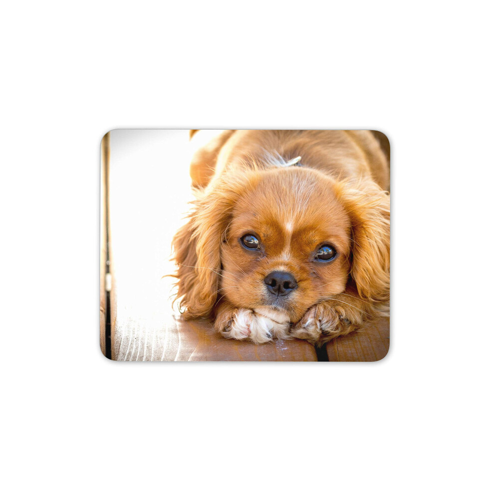 Destination Vinyl Ltd Cavalier King Charles Spaniel Mouse Mat Pad - Dog Lover Computer Fun #14978 7625850122721