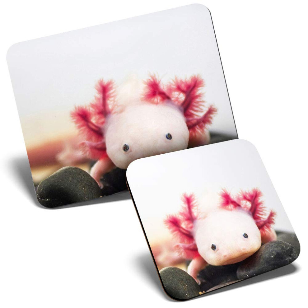 Mouse Mat & Coaster Set - Axolotl Aquarium Dragon Fish 23.5 X 19.6 Cm & 9 X 9 Cm For Computer & Laptop, Office, Gift, Non-Slip Base #3066 7626049781552
