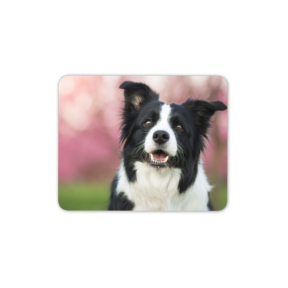 Destination Vinyl Ltd Border Collie Good Boy Dog Mouse Mat Pad - Sheep Farmer Computer Fun #15115 7625838263545