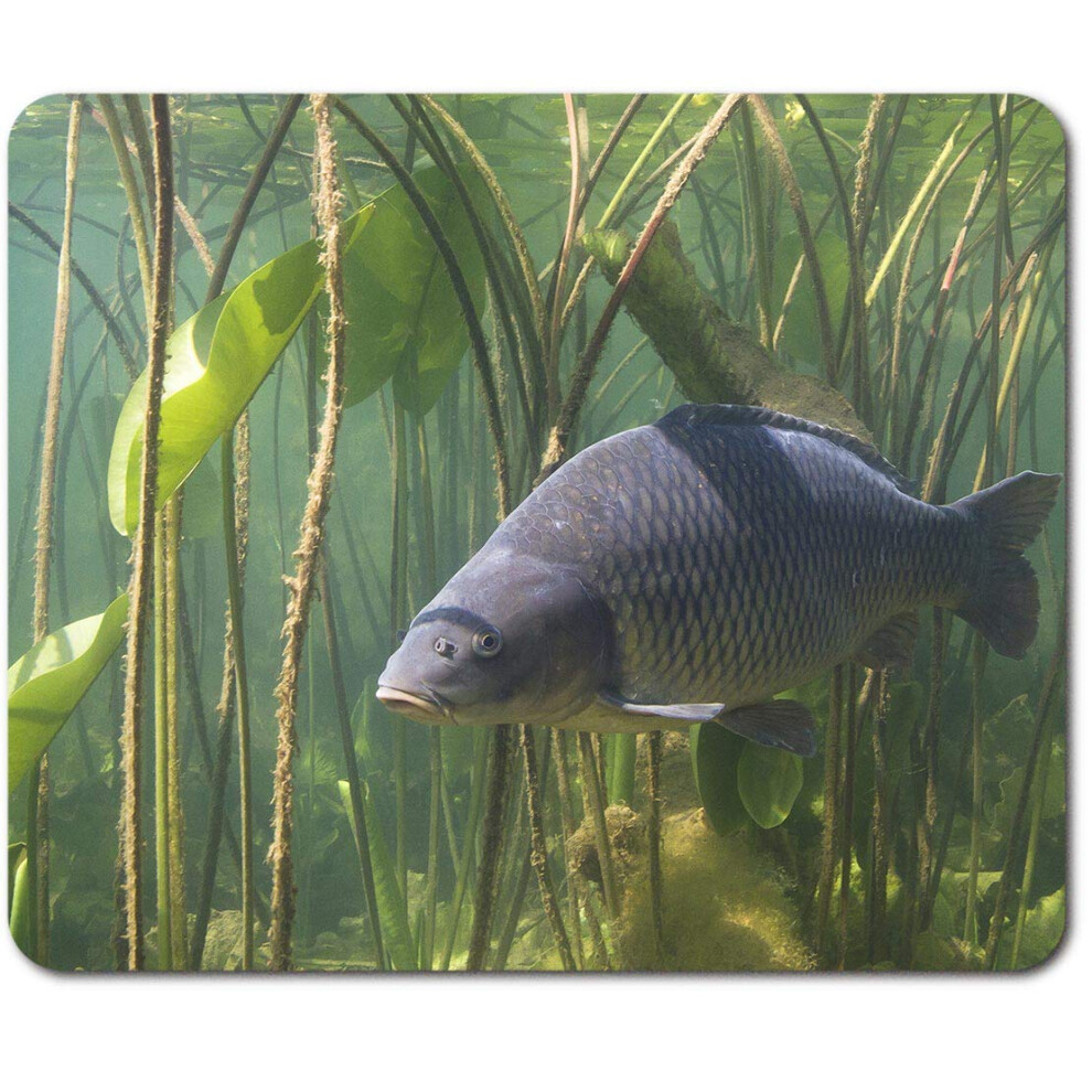 Rectangle Mouse Mat - Freshwater Carp Fish Pond Fishing 23.5 X 19.6 Cm (9.3 X 7.7 Inches) For Computer & Laptop, Office, Non-Slip Base #45078 7626027736635