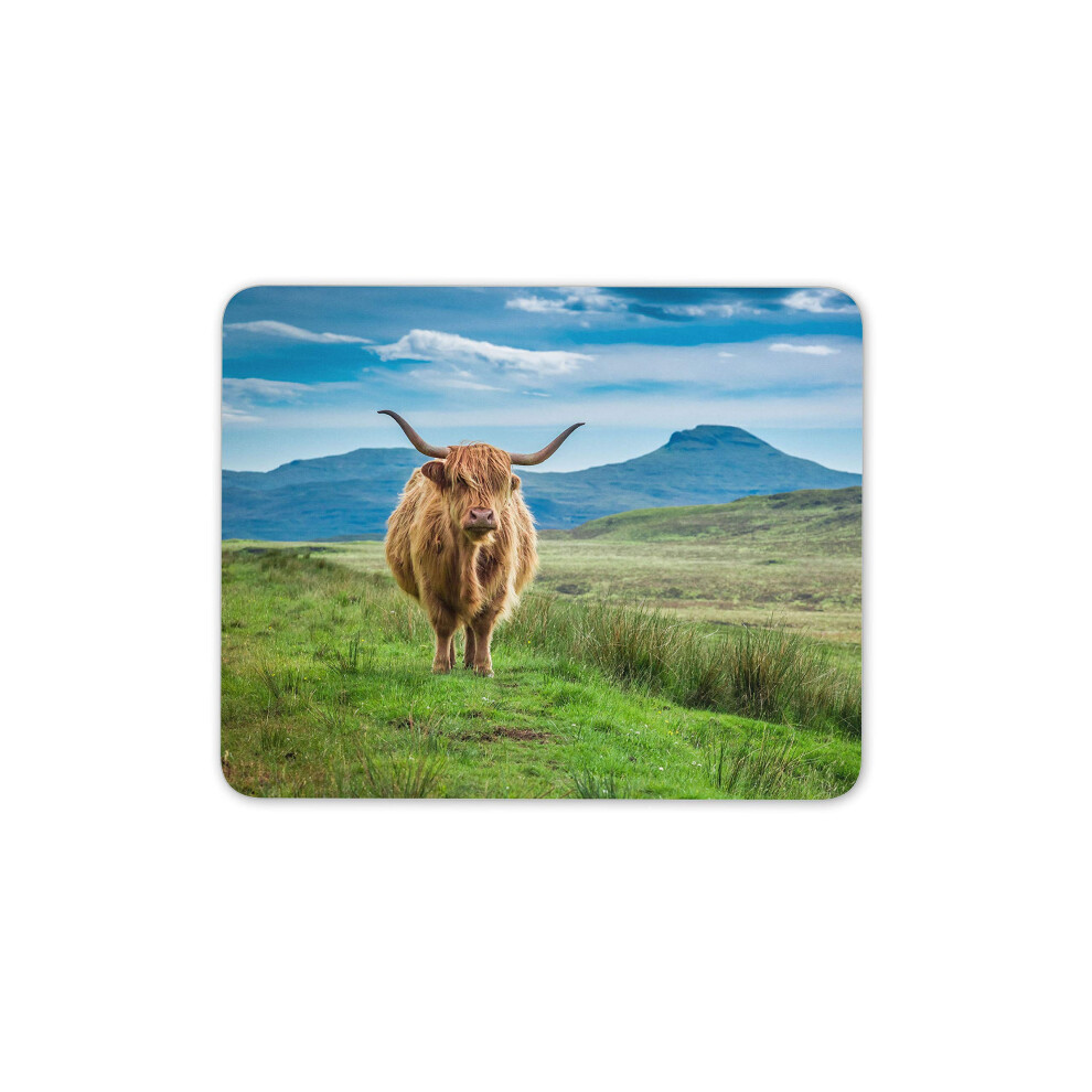 Destination Vinyl Ltd Fluffy Highland Cow Mouse Mat Pad - Cattle Scotland Nature Computer #15513 7625838987144