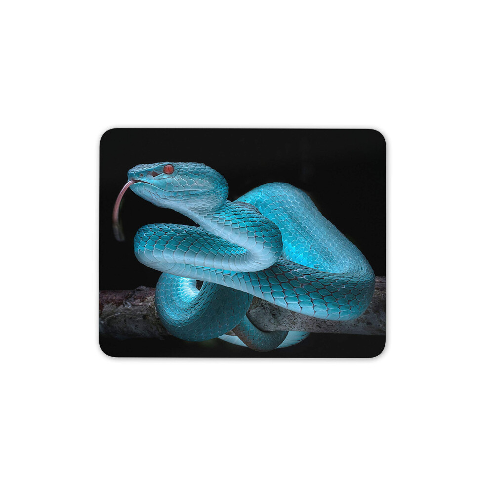 Destination Vinyl Ltd Viper Snake Mouse Mat Pad - Reptile Wild Jungle Computer #15532 Blue 7625847066021