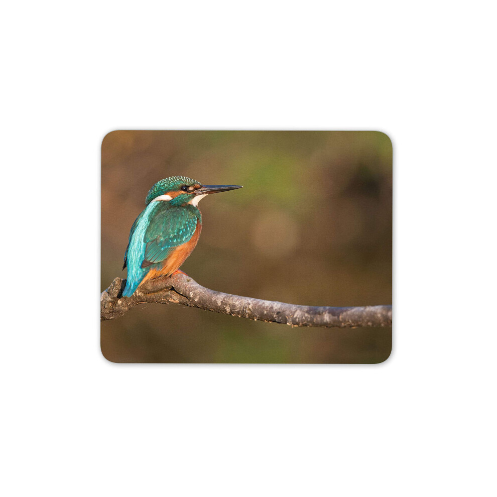 Destination Vinyl Ltd Kingfisher Bird Ornithology Mouse Mat Pad - Bird Lover Fun Computer #15129 7625847590069