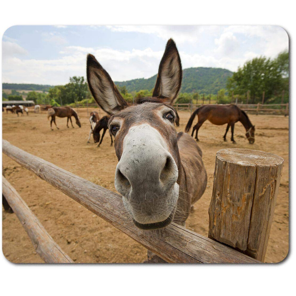Rectangle Mouse Mat - Cheeky Donkey Horse 23.5 X 19.6 Cm (9.3 X 7.7 Inches) For Computer & Laptop, Office, Non-Slip Base #45095 7626027737144