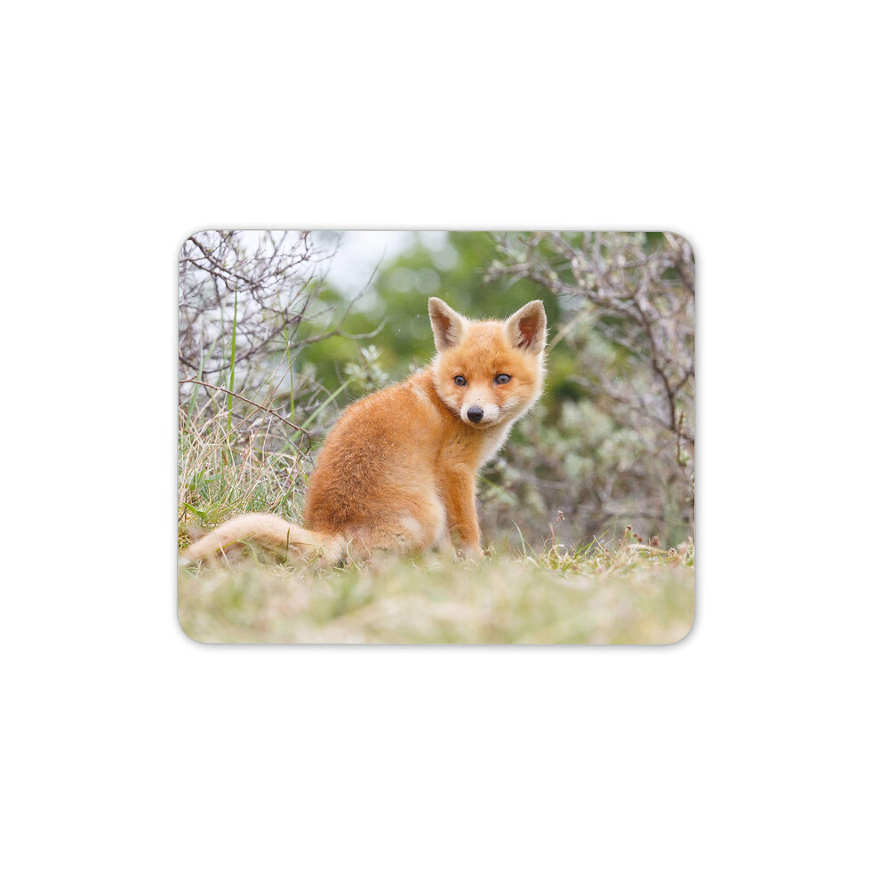 Ginger Baby Fox Mouse Mat Pad - Cute Wildlife Animal Wild Computer #15612 7625822480965