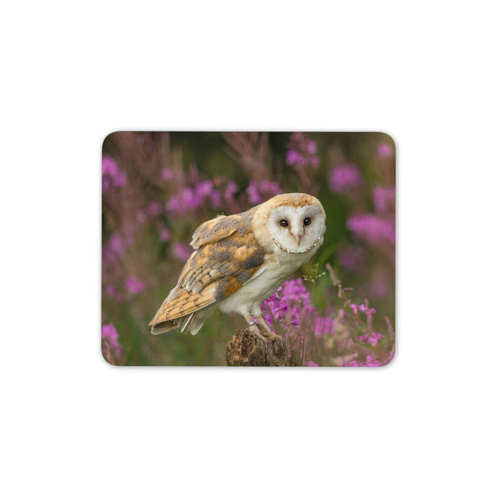 Destination Vinyl Ltd Barn Owl Mouse Mat Pad - Bird Prey British Wildlife Flowers Computer #15813 7625827010969