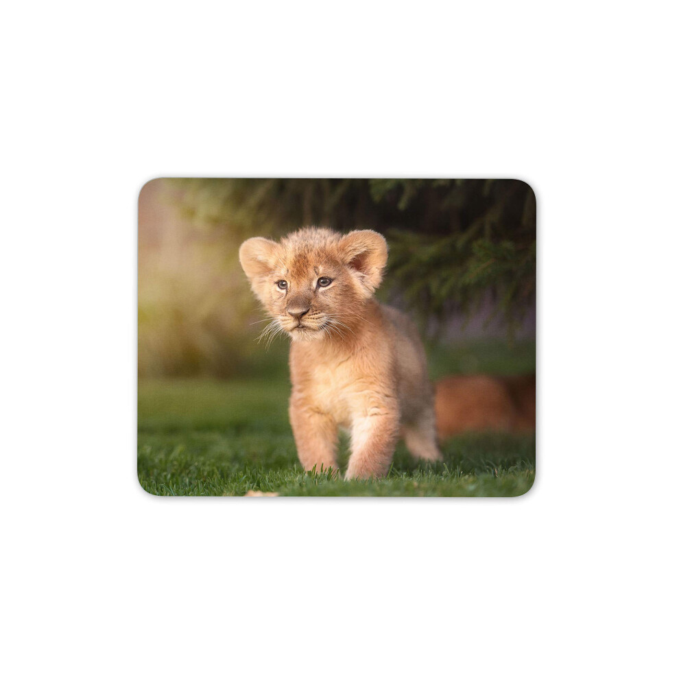 Lion Cub Mouse Mat Pad - Wild Baby Animal Africa Cute Kids Computer #15785 7625822093936