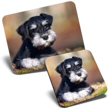 Mouse Mat & Coaster Set - Miniature Schnauzer Dog Puppy 23.5 x 19.6 cm & 9 x 9 cm for Computer & Laptop, Office, Gift, Non-slip Base #15550