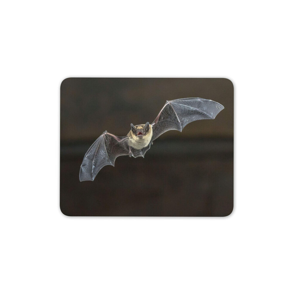 Destination Vinyl Ltd British Pipistrelle Flying Bat Mouse Mat Pad - Carnivore Computer #15730 7625841192924