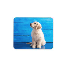 Destination Vinyl Ltd Cute Golden Retriever Puppy Mouse Mat Pad - Dog Labrador Computer #15837