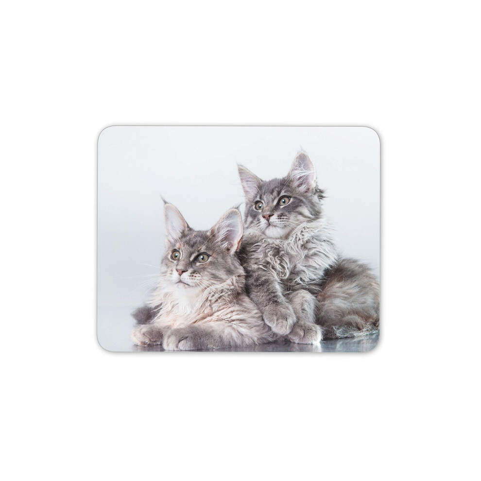 Destination Vinyl Ltd Cute Maine Coon Kitten Cat Mouse Mat Pad - Feline Mum Aunt Computer #15729 7625846150219