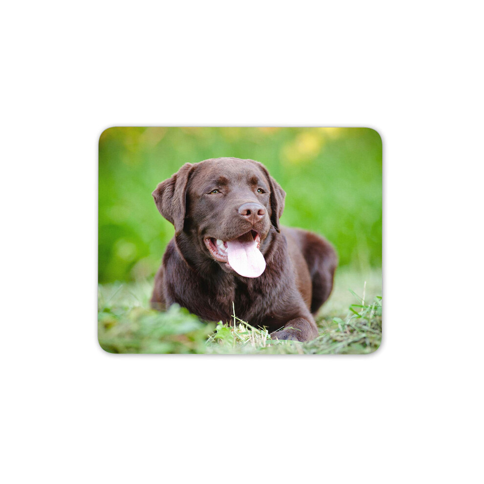 Destination Vinyl Ltd Chocolate Labrador Mouse Mat Pad - Dog Puppy Cute Pet Computer #15829 7625836325757